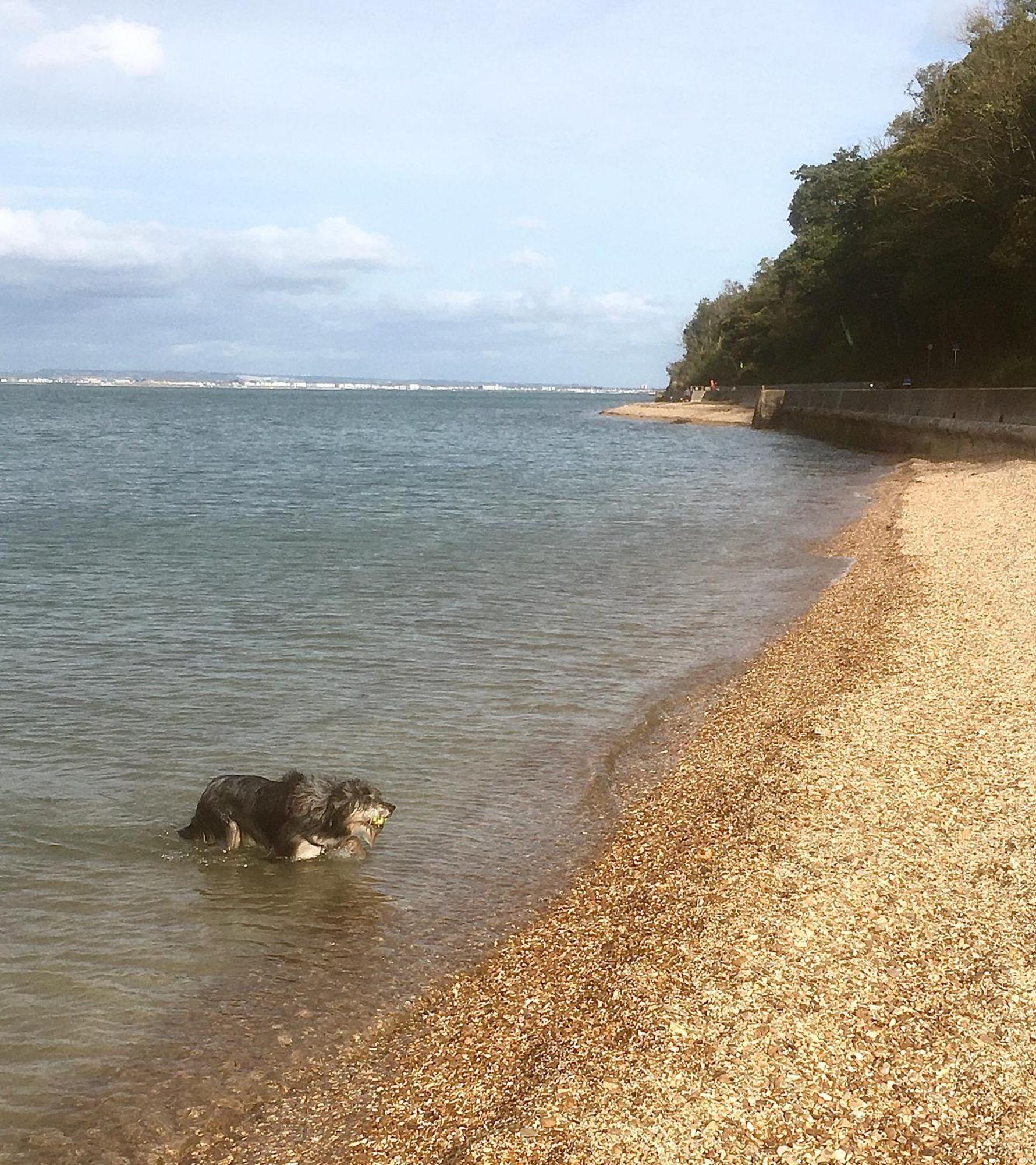 Yarborough Holiday home